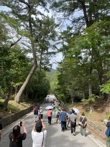 出雲大社(島根県)