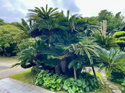 浄泉寺(神奈川県)