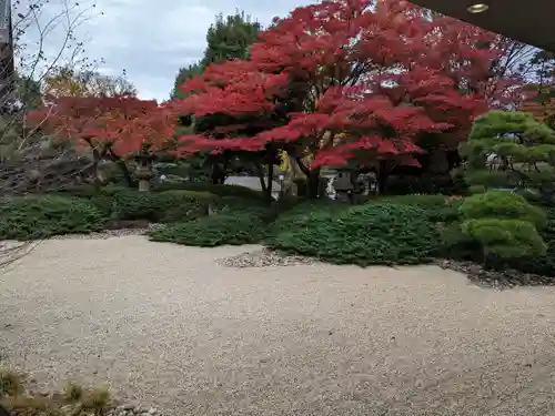 護国寺(東京都)