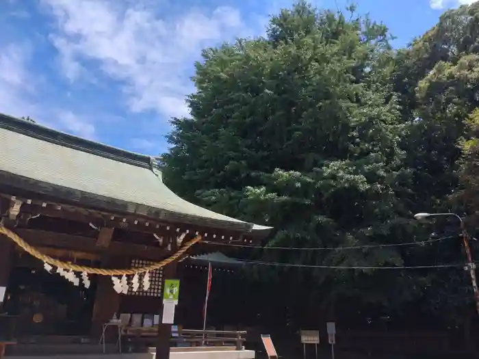 峯ヶ岡八幡神社の本殿