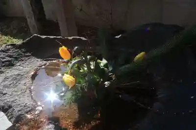 愛宕神社の手水舎