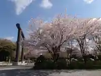 櫻木神社の自然