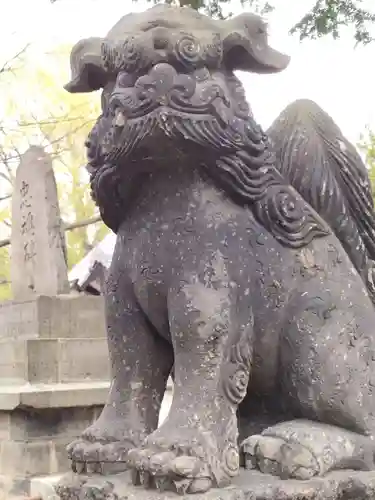 新琴似神社の狛犬
