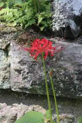 国宝 大法寺(長野県)