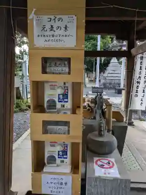 白山神社（二子町）のその他建物