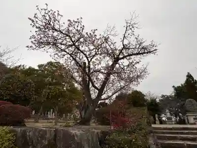 神咒寺の{uncategorized: "未分類", other: "その他", undefined: "問題あり", building: "その他建物", grave: "お墓", sacred_gate: "鳥居", guardian: "狛犬", statue: "像", buddha: "仏像", history: "歴史", nature: "自然", garden: "庭園", animal: "動物", pagoda: "塔", temizu: "手水舎", mountain_gate: "山門・神門", sanctuary: "本殿・本堂", subordinate: "末社・摂社", art: "芸術", scenery: "景色", jizo: "地蔵", ema: "絵馬", goshuin: "御朱印", omikuji: "おみくじ", items: "授与品その他", amulet: "お守り", goshuincho: "御朱印帳", eats: "食事", festival: "お祭り", votive_dance: "神楽", shichigosan: "七五三参", wedding: "結婚式", experience: "体験その他", initially: "初詣", around: "周辺", anti_infection: "感染症対策"}