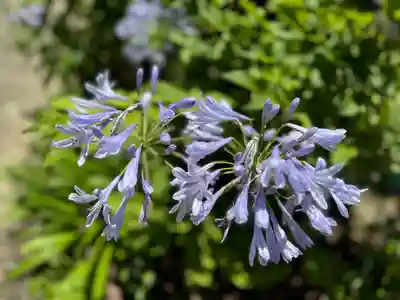 阿邪訶根神社(福島県)