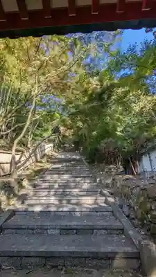 金蔵寺(京都府)