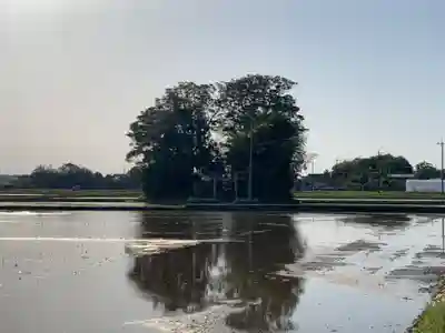 水神社(千葉県)