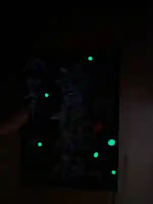 曽根神社の御朱印