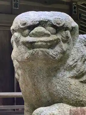 国神神社の狛犬