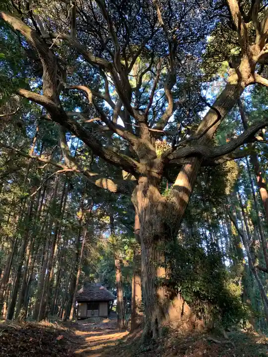 宇迦大神(千葉県)