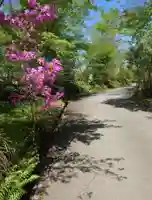 胎内神社(静岡県)