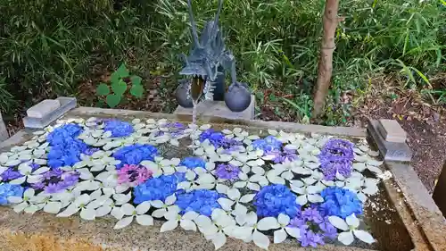 星宮神社(栃木県)