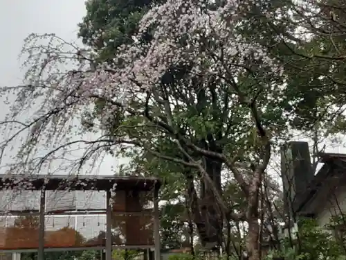 伊勢山皇大神宮の自然