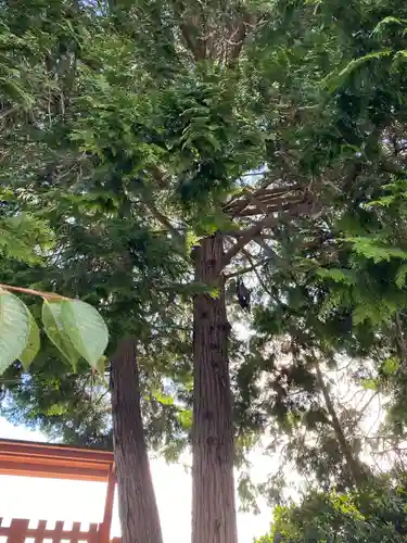 沖田神社(岡山県)