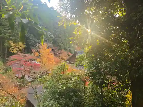 宗鏡寺(兵庫県)