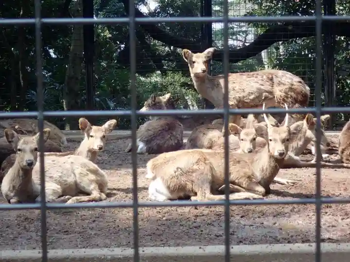 天照皇大神(神奈川県)