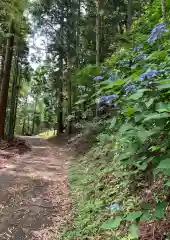 大安禅寺の自然