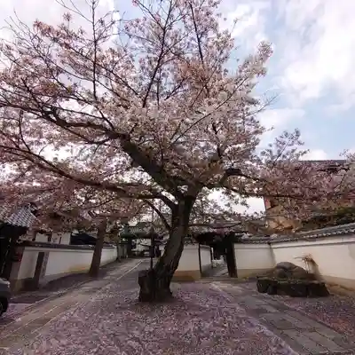 正寿院(京都府)