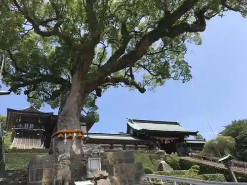 鎮西大社諏訪神社の自然