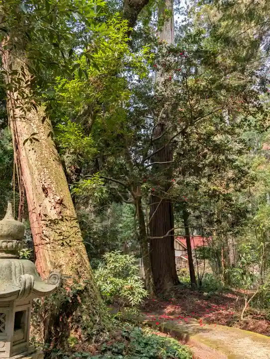 伊和神社の{uncategorized: "未分類", other: "その他", undefined: "問題あり", building: "その他建物", grave: "お墓", sacred_gate: "鳥居", guardian: "狛犬", statue: "像", buddha: "仏像", history: "歴史", nature: "自然", garden: "庭園", animal: "動物", pagoda: "塔", temizu: "手水舎", mountain_gate: "山門・神門", sanctuary: "本殿・本堂", subordinate: "末社・摂社", art: "芸術", scenery: "景色", jizo: "地蔵", ema: "絵馬", goshuin: "御朱印", omikuji: "おみくじ", items: "授与品その他", amulet: "お守り", goshuincho: "御朱印帳", eats: "食事", festival: "お祭り", votive_dance: "神楽", shichigosan: "七五三参", wedding: "結婚式", experience: "体験その他", initially: "初詣", around: "周辺", anti_infection: "感染症対策"}