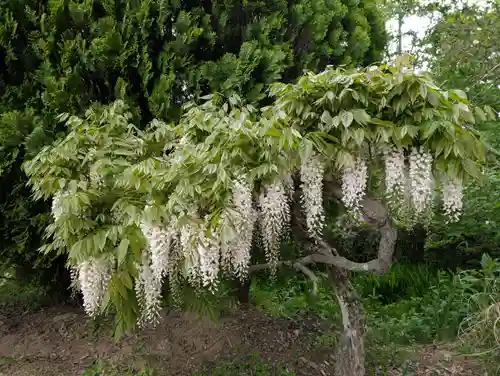 高屋敷稲荷神社(福島県)