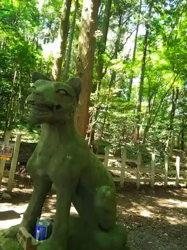 宝登山神社の狛犬