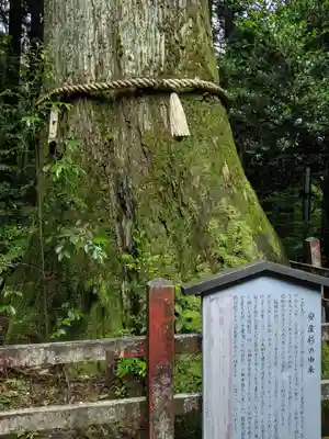 箱根神社(神奈川県)