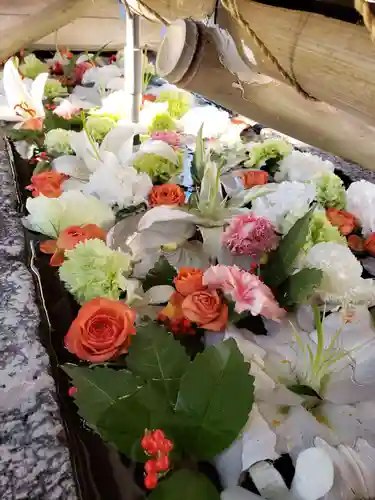 鳩森八幡神社の手水舎