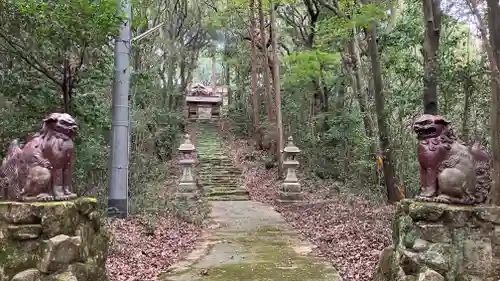 松尾神社の狛犬