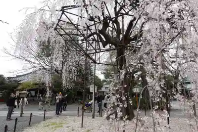 大報恩寺（千本釈迦堂）(京都府)