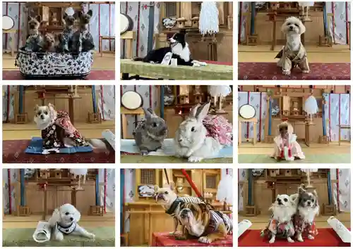 福島八幡宮(福岡県)