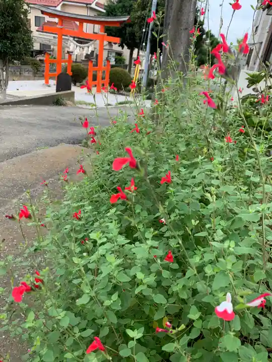 大野神社の自然