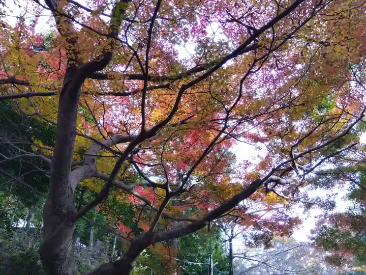 八坂神社(滋賀県)