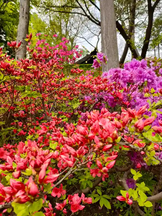 本輪西八幡神社の自然