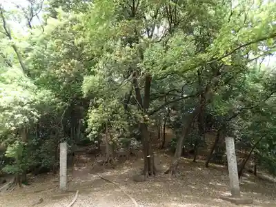 浅間大神のその他建物