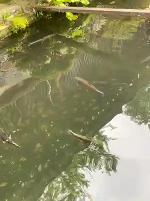 飛驒一宮水無神社(岐阜県)