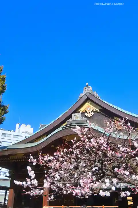 湯島天満宮(東京都)