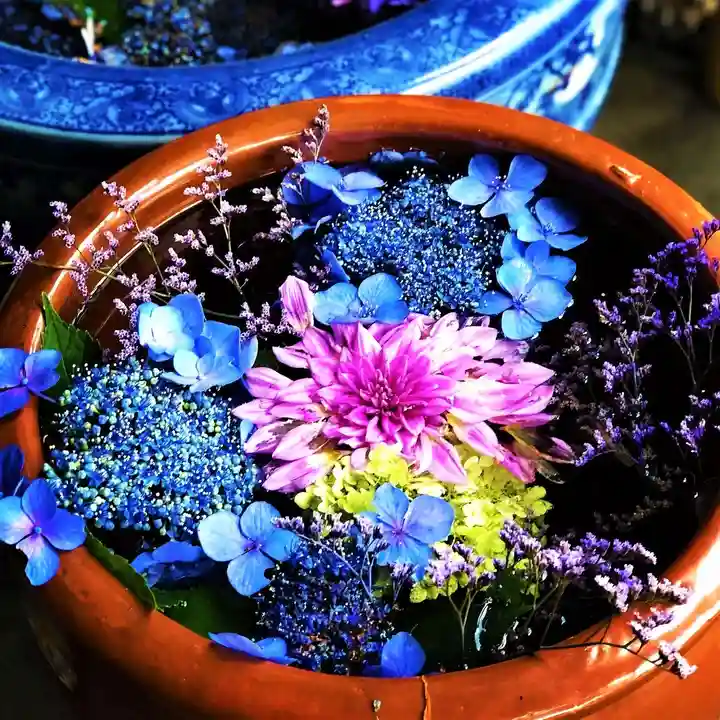 札幌護國神社の手水舎