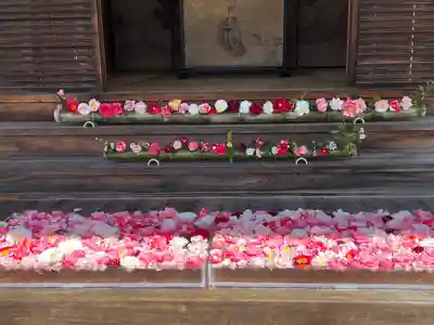 霊鑑寺門跡(京都府)