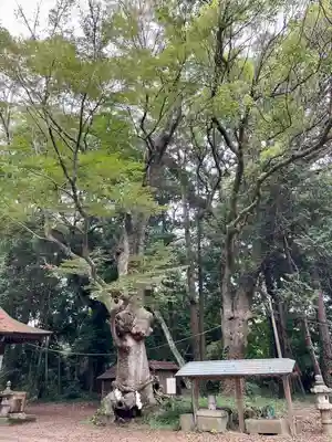 中村八幡宮(栃木県)