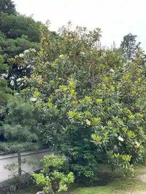 秋篠寺(奈良県)