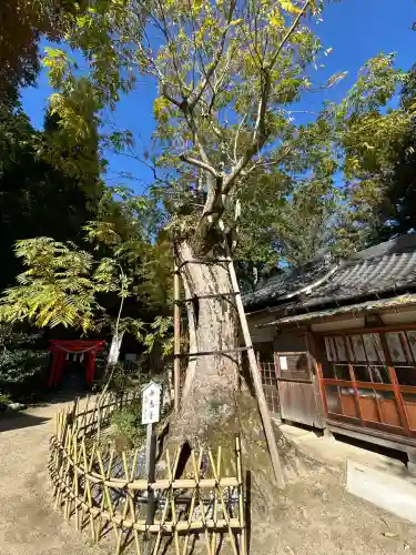 葛城一言主神社(奈良県)