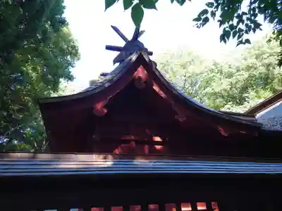 氷川女體神社の本殿・本堂