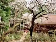 室生寺(奈良県)