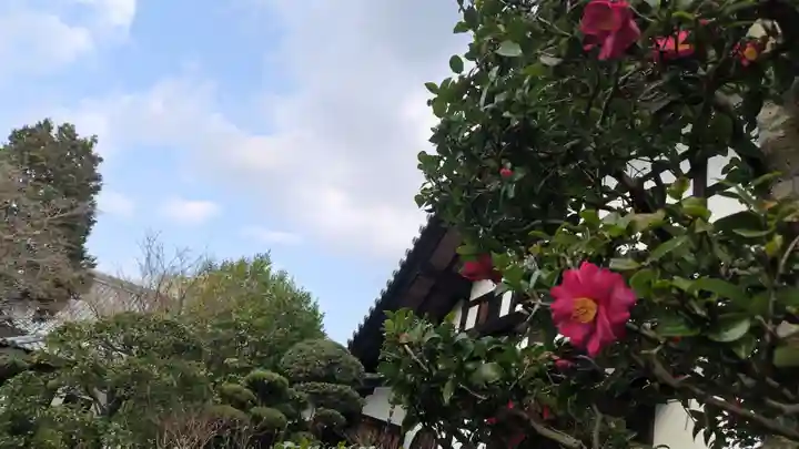 霊源院(京都府)