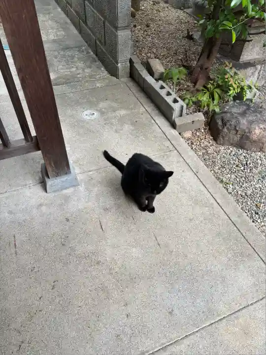 御嶽神社茅萱宮(岐阜県)