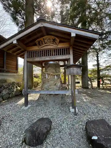 飛驒一宮水無神社(岐阜県)