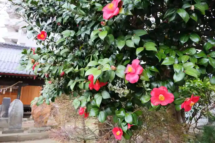 晴門田神社の自然